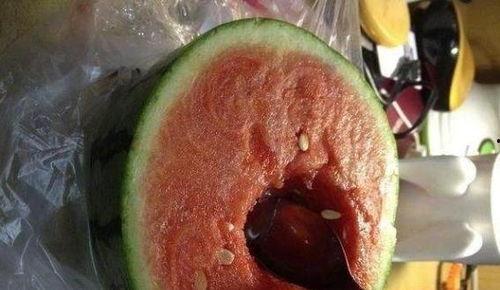 乳瓜有人吃吗有人吃吗,探寻其食用现状与口味之谜