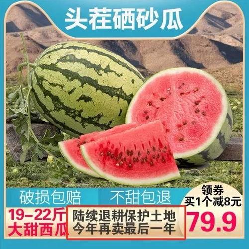 可以吃的砂瓜,美味可口的砂瓜之旅