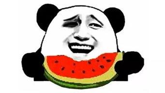 大金牙吃瓜群众,揭秘娱乐圈幕后风云