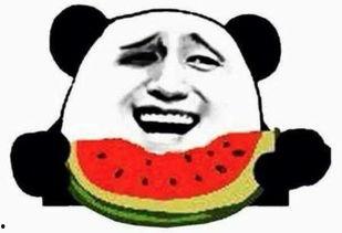 老实人吃瓜群众