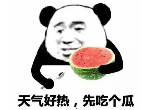 吃瓜表情偷瓜,揭秘吃瓜表情与偷瓜趣事