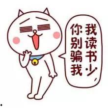 呆呆呆吃瓜