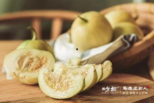 吃瓜囤囤,揭秘娱乐圈幕后故事