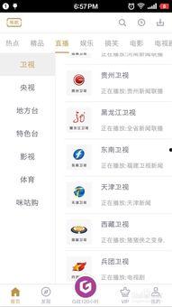 东南直播回放吃瓜,揭秘吃瓜群众的狂欢盛宴