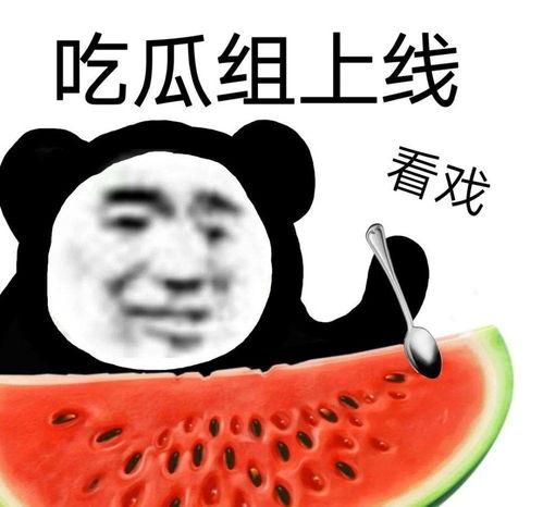 吃瓜聊天记,揭秘娱乐圈幕后故事