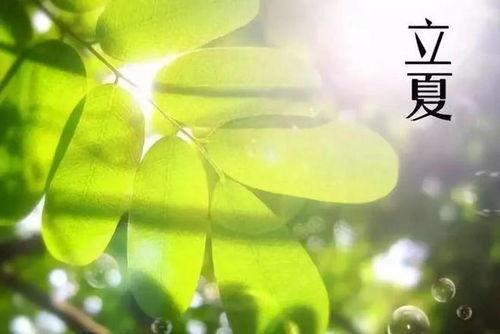 立夏吃瓜绘画,一场视觉盛宴的绘画之旅