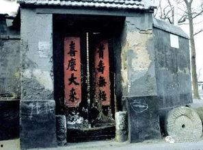 在大杂院吃瓜