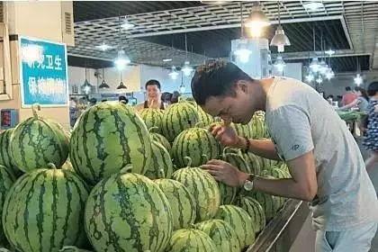 吃瓜群众的西瓜,揭秘吃瓜群众的西瓜情缘
